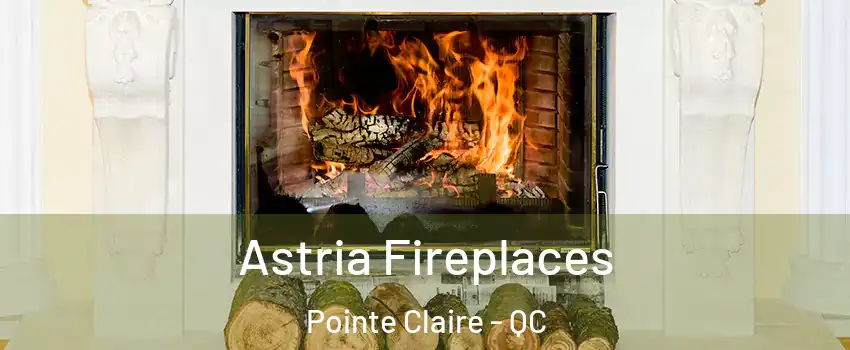  Astria Fireplaces Pointe Claire - QC