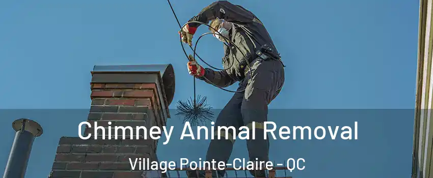  Chimney Animal Removal Village Pointe-Claire - QC