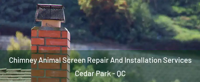  Chimney Animal Screen Repair And Installation Services Cedar Park - QC
