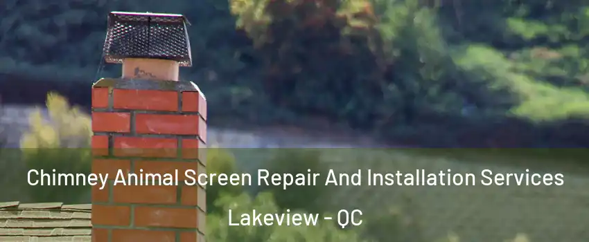  Chimney Animal Screen Repair And Installation Services Lakeview - QC