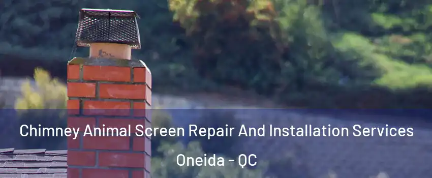  Chimney Animal Screen Repair And Installation Services Oneida - QC