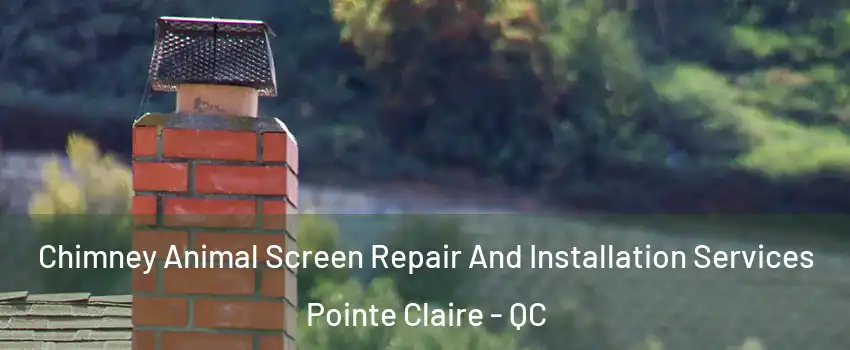  Chimney Animal Screen Repair And Installation Services Pointe Claire - QC