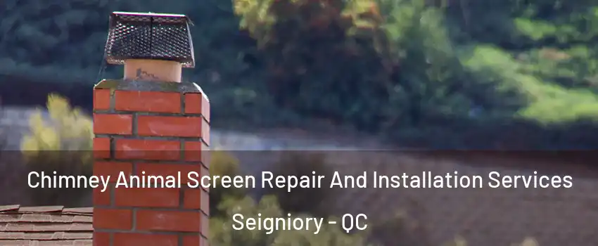  Chimney Animal Screen Repair And Installation Services Seigniory - QC