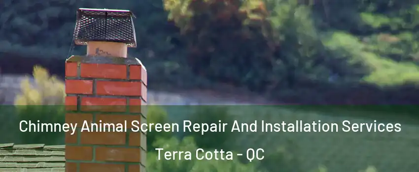  Chimney Animal Screen Repair And Installation Services Terra Cotta - QC