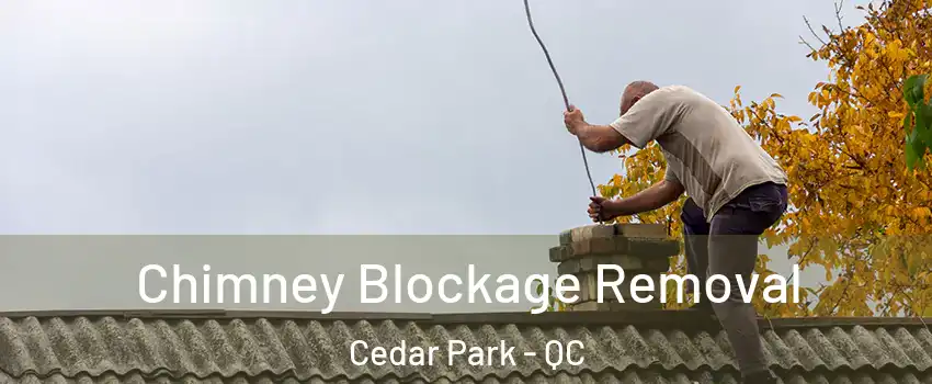  Chimney Blockage Removal Cedar Park - QC