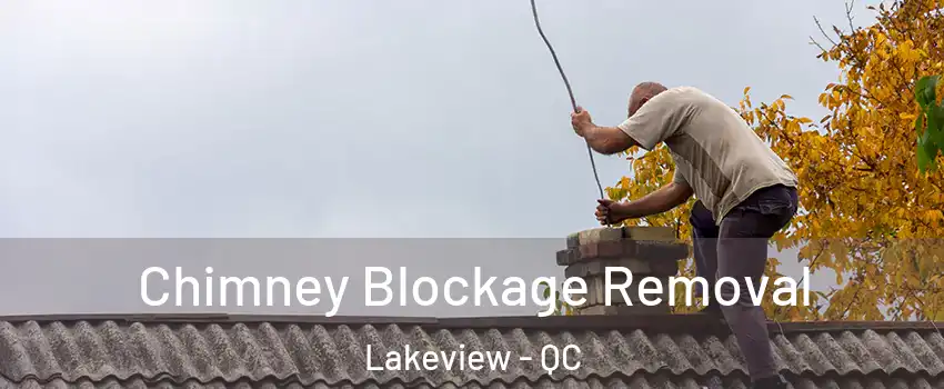  Chimney Blockage Removal Lakeview - QC
