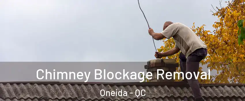  Chimney Blockage Removal Oneida - QC