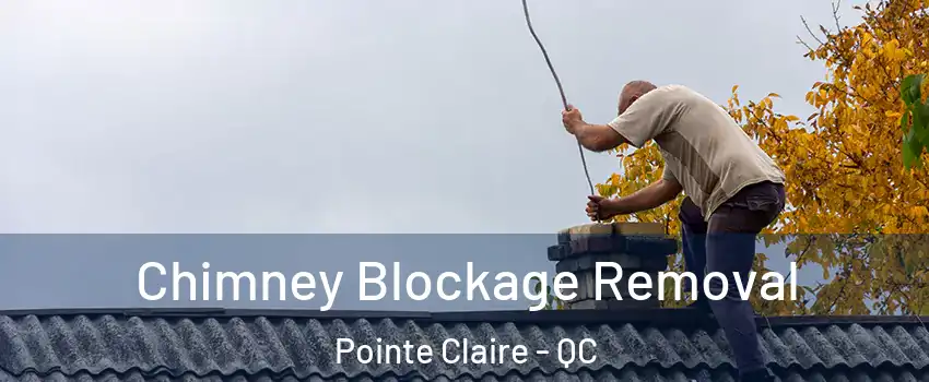  Chimney Blockage Removal Pointe Claire - QC
