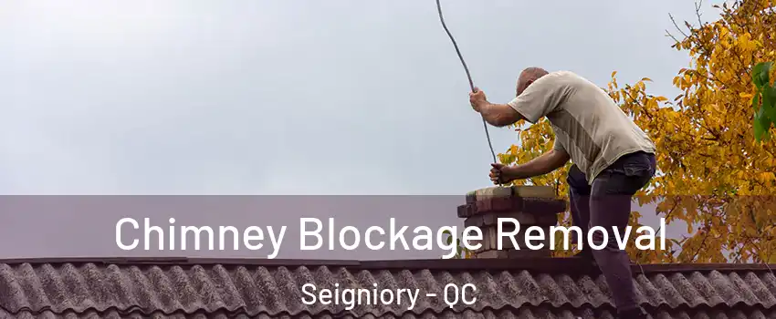  Chimney Blockage Removal Seigniory - QC