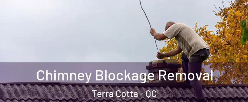  Chimney Blockage Removal Terra Cotta - QC