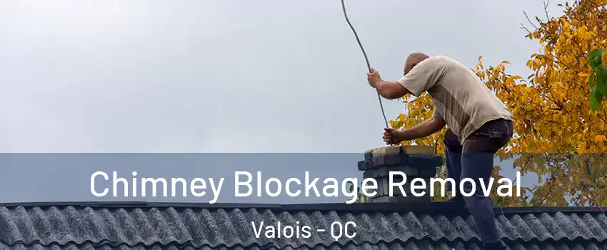  Chimney Blockage Removal Valois - QC