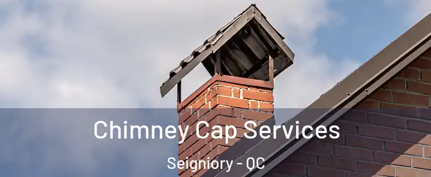  Chimney Cap Services Seigniory - QC