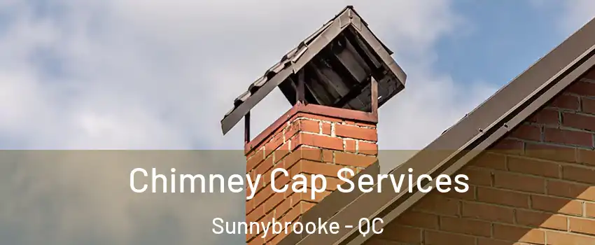  Chimney Cap Services Sunnybrooke - QC