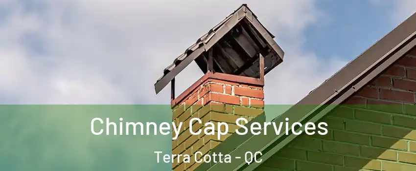  Chimney Cap Services Terra Cotta - QC