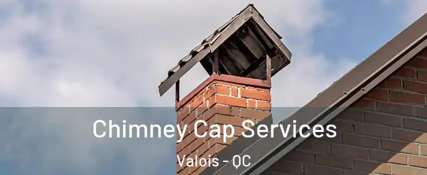  Chimney Cap Services Valois - QC