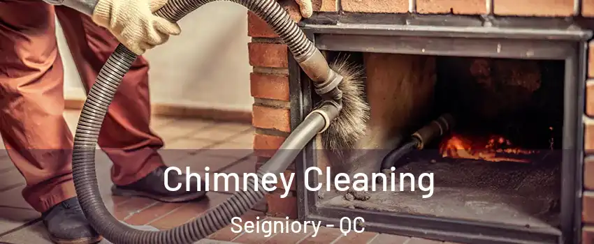  Chimney Cleaning Seigniory - QC