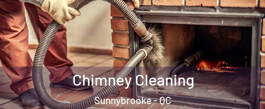  Chimney Cleaning Sunnybrooke - QC