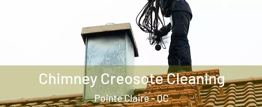  Chimney Creosote Cleaning Pointe Claire - QC