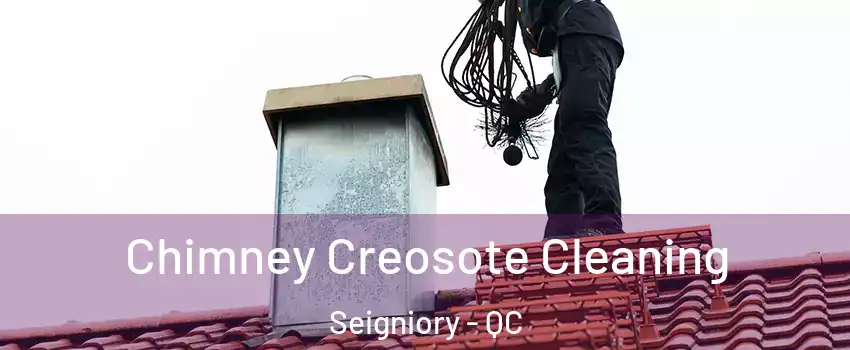  Chimney Creosote Cleaning Seigniory - QC