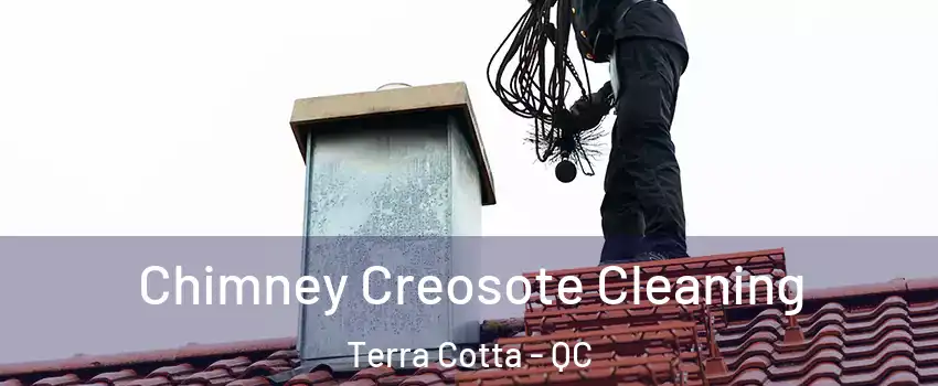  Chimney Creosote Cleaning Terra Cotta - QC