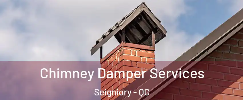  Chimney Damper Services Seigniory - QC