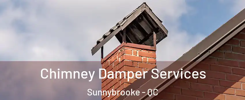  Chimney Damper Services Sunnybrooke - QC