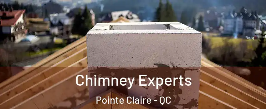 Chimney Experts Pointe Claire - QC