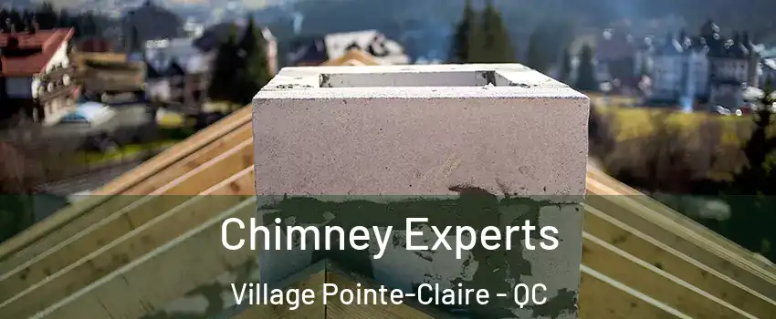 Chimney Experts Village Pointe-Claire - QC