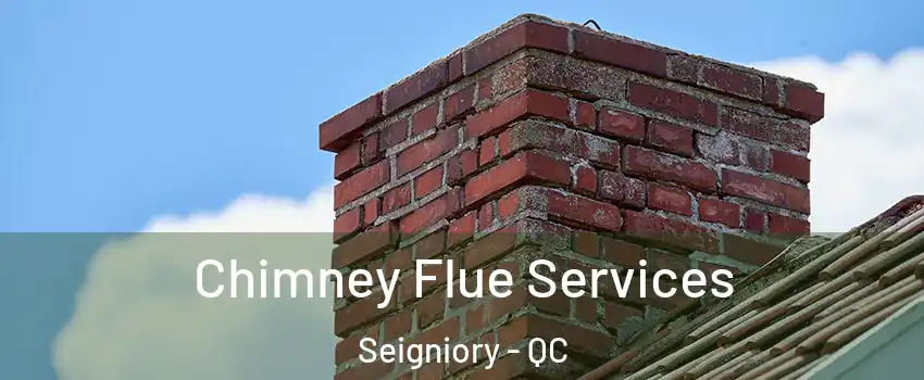  Chimney Flue Services Seigniory - QC