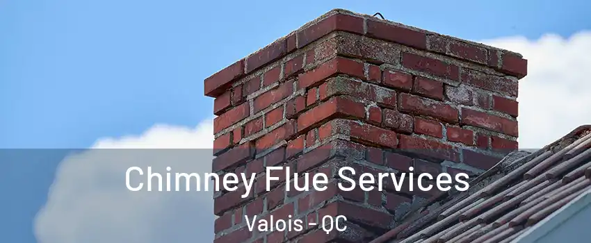  Chimney Flue Services Valois - QC