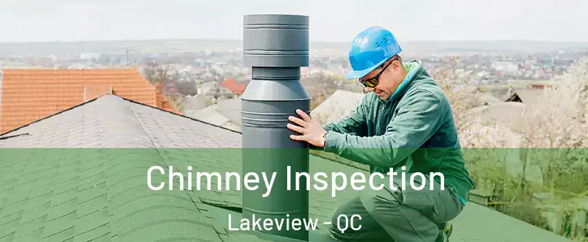  Chimney Inspection Lakeview - QC