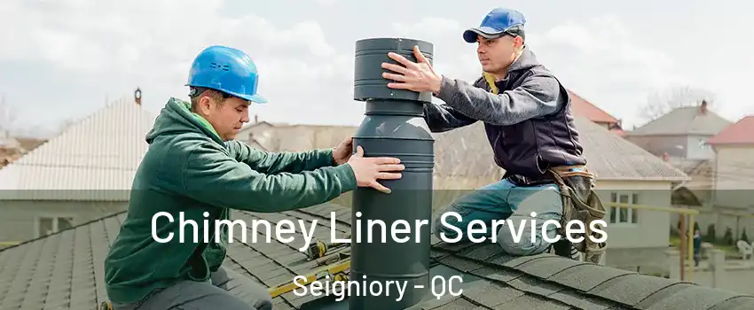 Chimney Liner Services Seigniory - QC