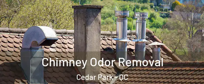  Chimney Odor Removal Cedar Park - QC