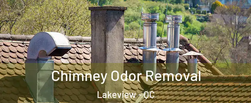  Chimney Odor Removal Lakeview - QC