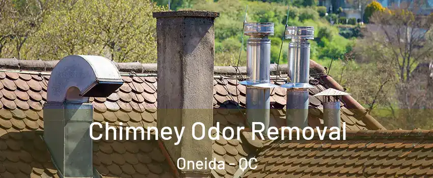  Chimney Odor Removal Oneida - QC