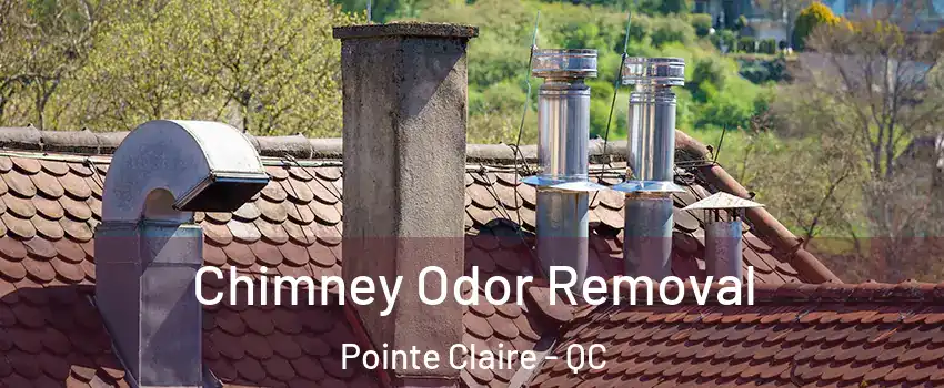  Chimney Odor Removal Pointe Claire - QC