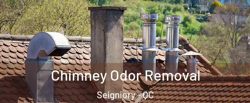  Chimney Odor Removal Seigniory - QC