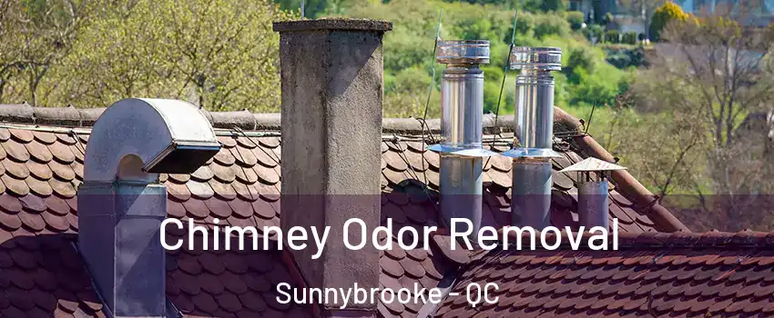  Chimney Odor Removal Sunnybrooke - QC