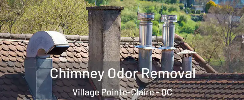  Chimney Odor Removal Village Pointe-Claire - QC