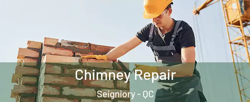  Chimney Repair Seigniory - QC