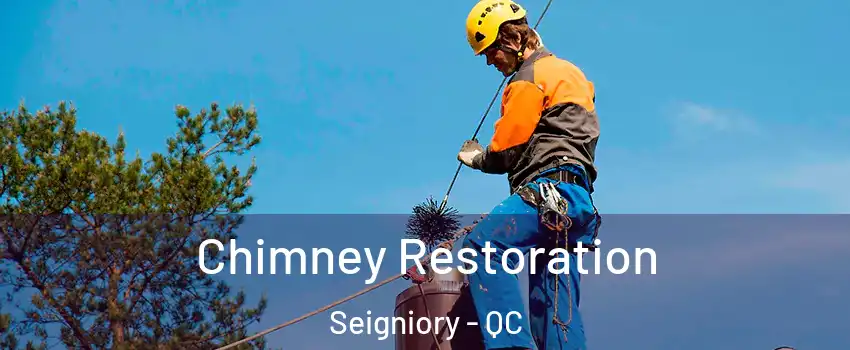  Chimney Restoration Seigniory - QC