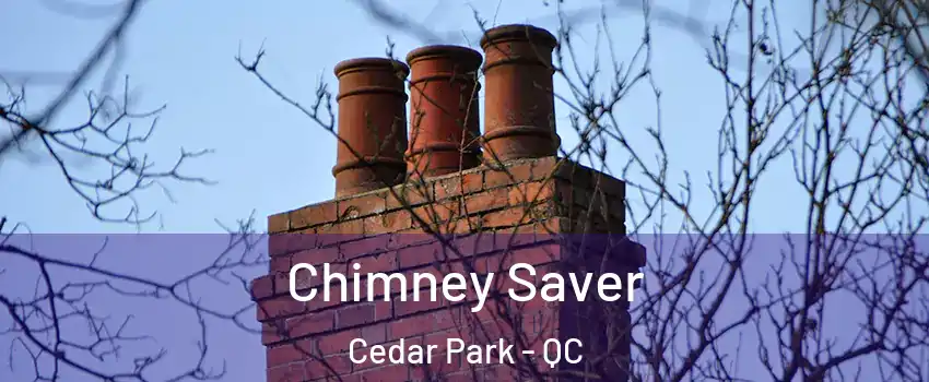  Chimney Saver Cedar Park - QC