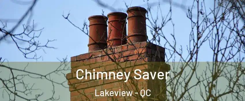  Chimney Saver Lakeview - QC