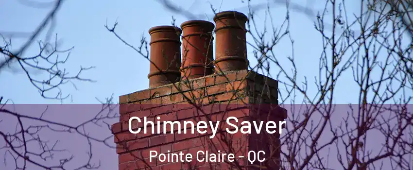  Chimney Saver Pointe Claire - QC