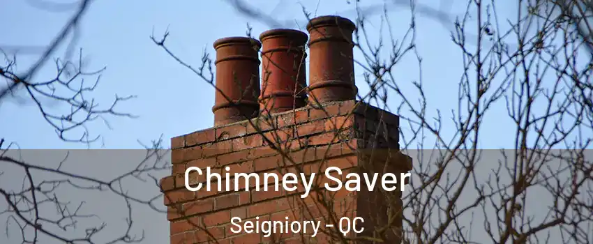  Chimney Saver Seigniory - QC