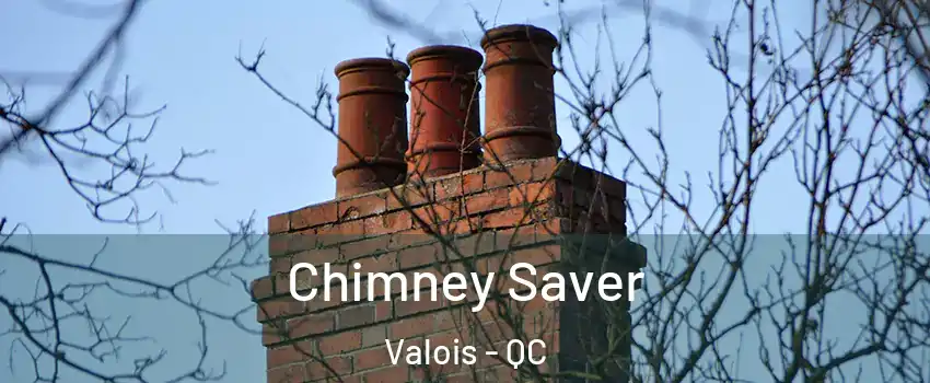  Chimney Saver Valois - QC