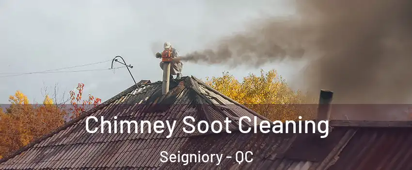 Chimney Soot Cleaning Seigniory - QC