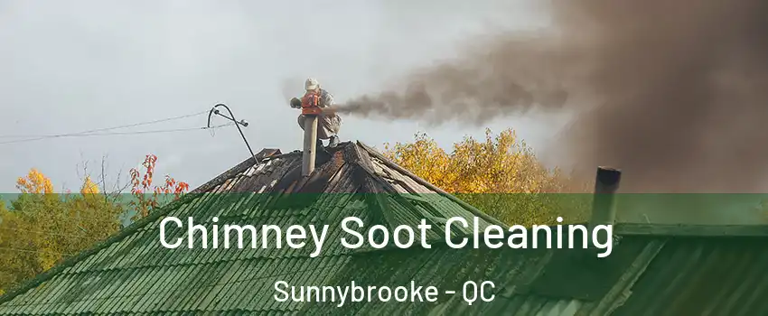 Chimney Soot Cleaning Sunnybrooke - QC