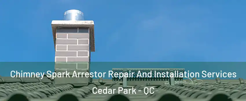  Chimney Spark Arrestor Repair And Installation Services Cedar Park - QC
