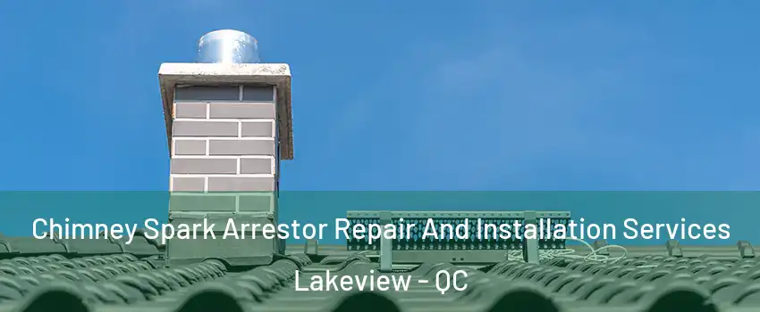 Chimney Spark Arrestor Repair And Installation Services Lakeview - QC